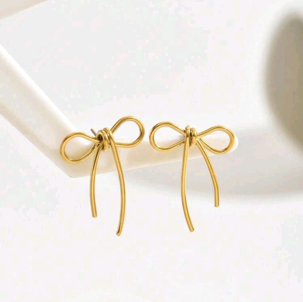 Stainless Steel Earring.